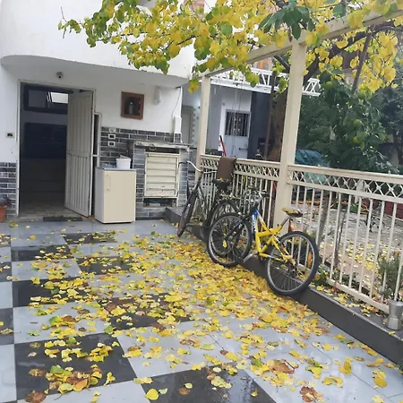 Lively Apparament 1a Tiran